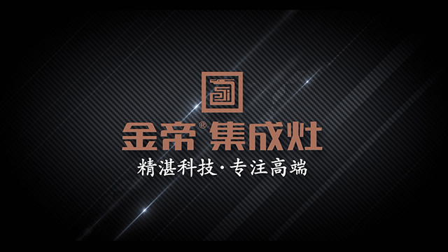 金帝集成灶專注高端 金帝集成灶專注高端