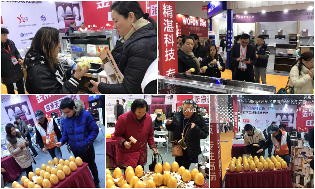 戰上海|華夏家博會 金帝集成灶再獲集成灶品類銷量第一.jpg