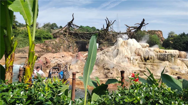 暑假全家總動員,金帝集成灶幸運客戶暢游上海迪士尼 !  暑假全家總動員,金帝集成灶幸運客戶暢游上海迪士尼 !